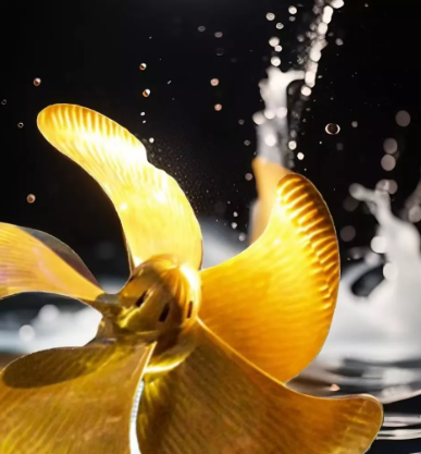 h&eacute;lice de paso