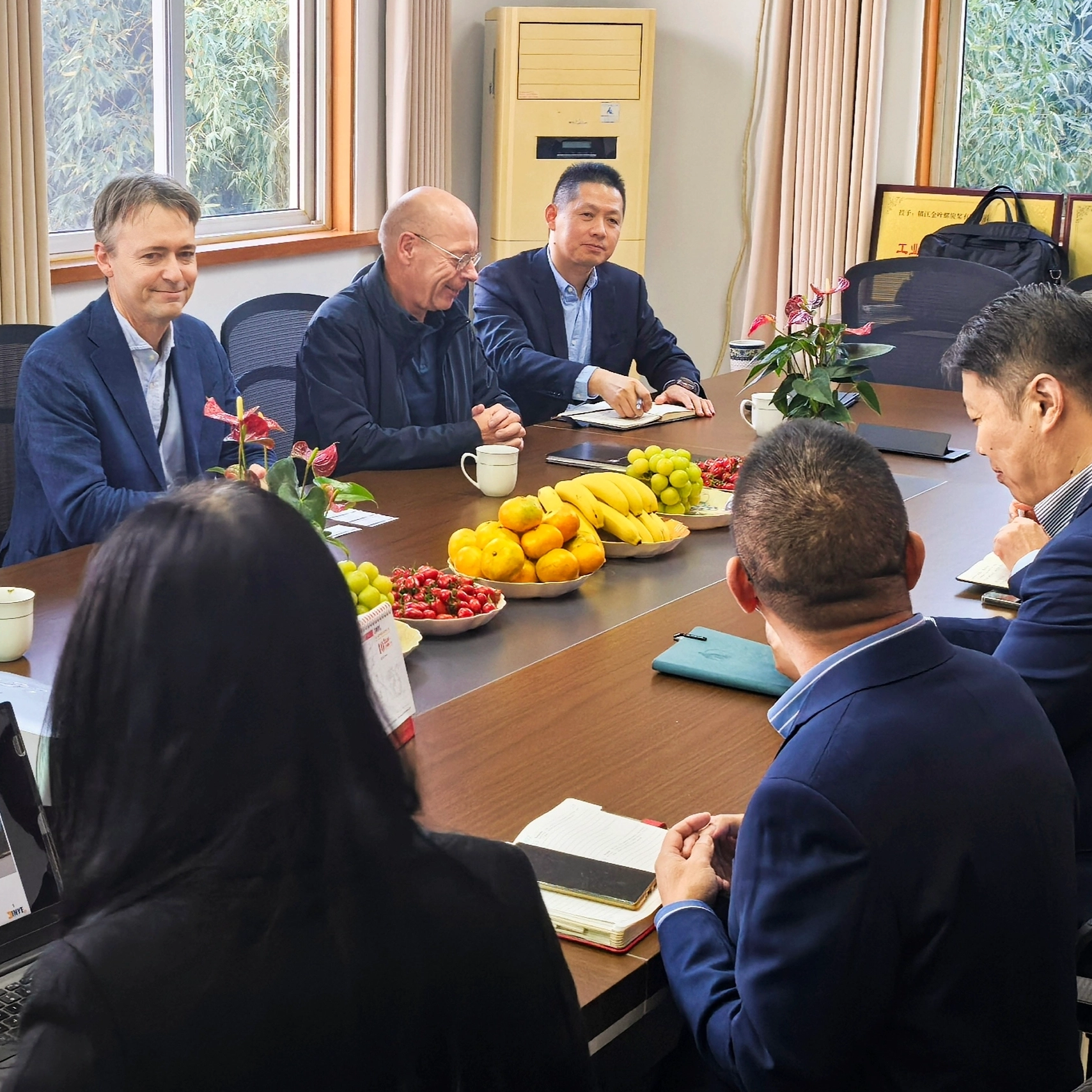 El Sr. Bernd Bertram, vicepresidente del negocio de propulsión Marine Power Wartsila, y su equipo visitaron Zhenjiang Jinye Propeller Co., ltd el 7 de noviembre de 2024.